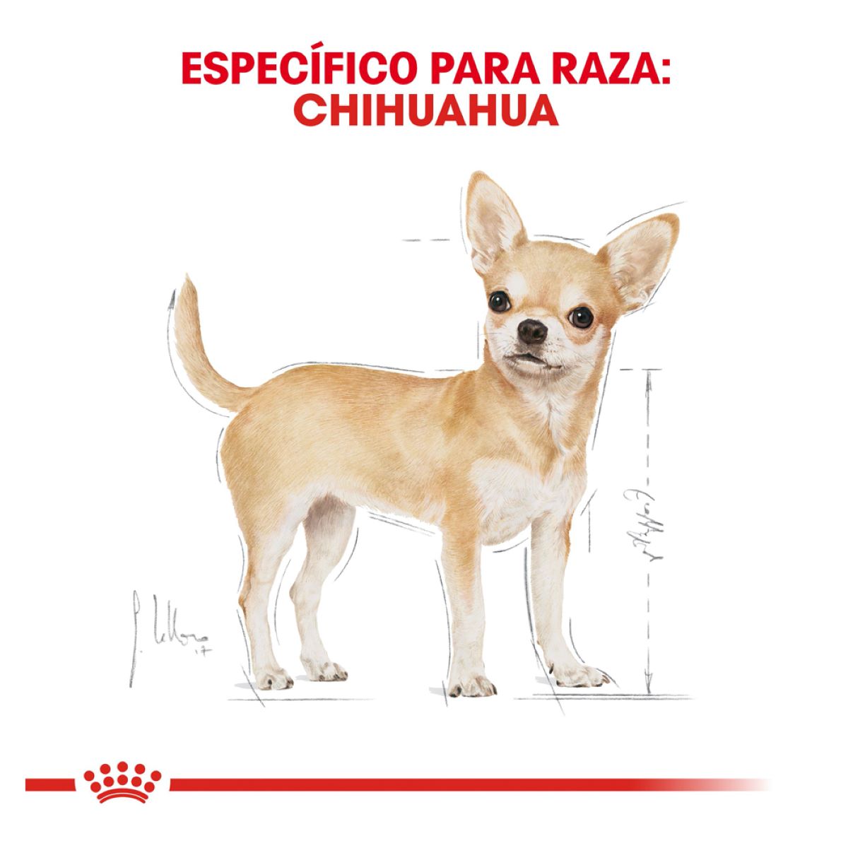 Royal Canin Chihuahua Adulto Royal Canin Chihuahua Adulto